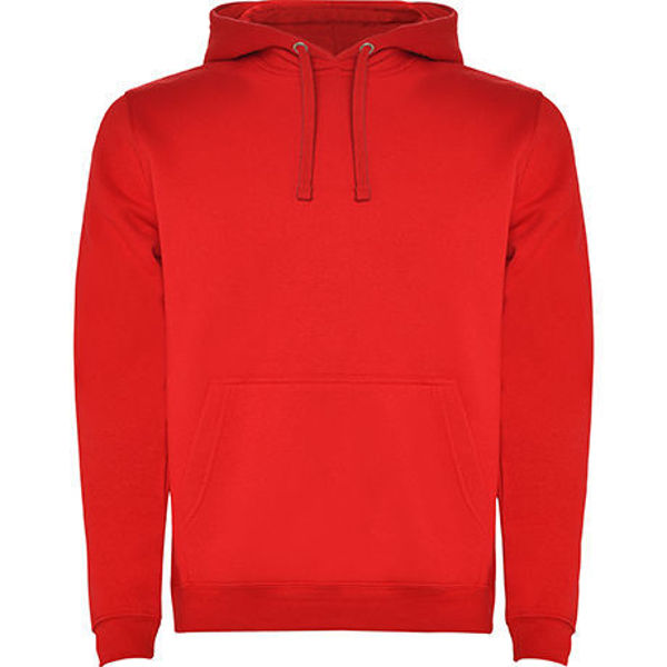 Imagem de SWEATSHIRT  COM CAPUZ EM CONTRASTE